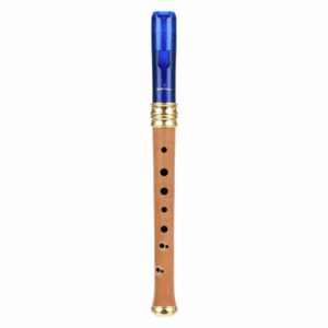 Mollenhauer Dream Soprano Recorder 1119B