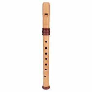 Mollenhauer Dream Soprano Recorder 4119