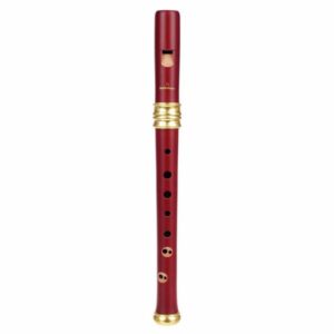 Mollenhauer Dream Soprano Recorder 4119R