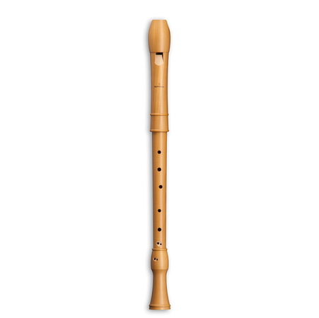 Mollenhauer Canta Model 2406 Tenor, keyless