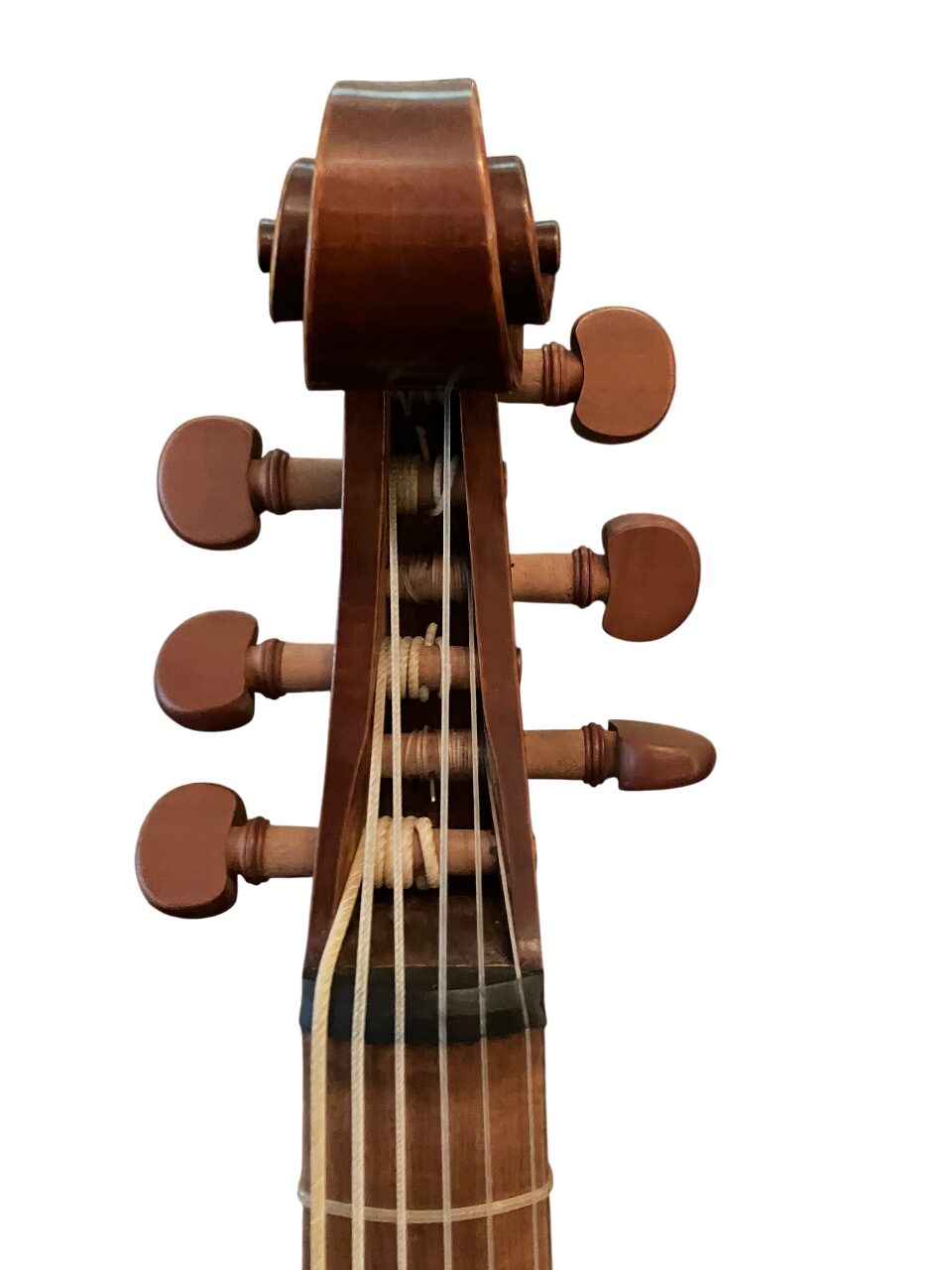 Bass viola da gamba, Renaissance style, Johannes Marcus model - Image 6